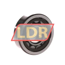 SNR NU305E G15 rulman resim 3