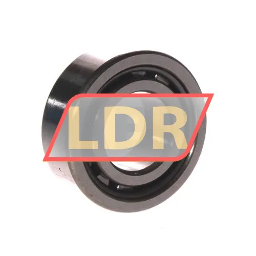 NSK NJ2205W ürün fotoğrafı 2