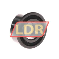 FBJ NUP2205E C3 rulman resim 2