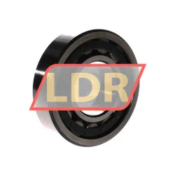 ZKL NJ310 rulman resim 2