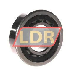 ZKL NU310 rulman resim 2
