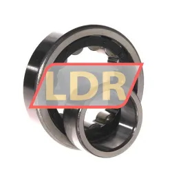 ZKL NU310 rulman resim 3
