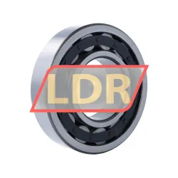 ZVL NU318E rulman resim 2