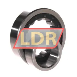 ZKL NU309 rulman resim 3