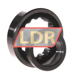 ZKL NJ209E rulman resim 3