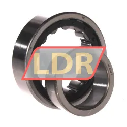 ZKL NJ2209E rulman resim 3