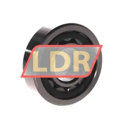 ZKL NJ305 rulman resim 2
