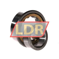 FBJ NUP2208E C3 rulman resim 3