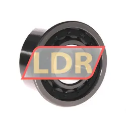 ZKL NU2309E rulman resim 2