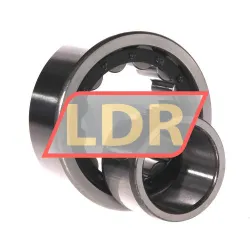 ZKL NU2309E rulman resim 3