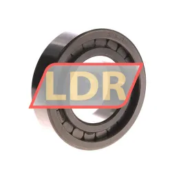 Neutral SL18-2211