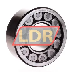 INA ZSL19-2311