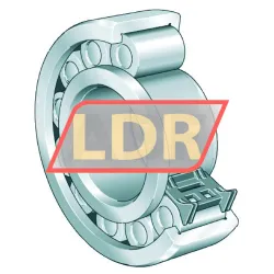 INA ZSL19-2311 rulman resim 6