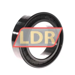 INA SL183017-A-C3-2S rulman resim 2