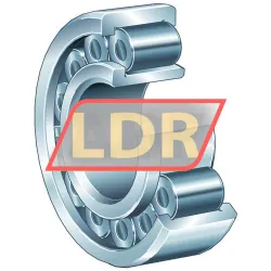INA SL192308C3 rulman resim 6