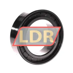 INA SL18-3016A C3 rulman resim 2