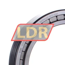 INA SL18-2924-B-XL rulman resim 2