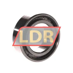 INA SL18-3008A rulman resim 2