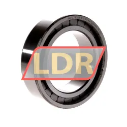 INA SL18-3015