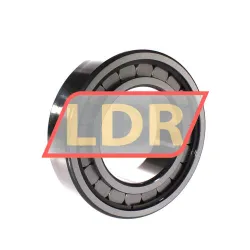 INA SL182218-A-C3 rulman resim 2