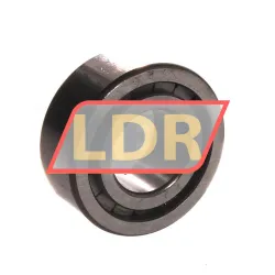 INA SL18-3004 rulman resim 2