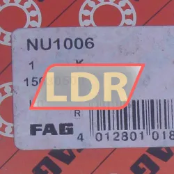 FAG NU1006 rulman resim 8