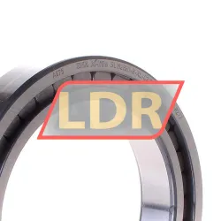 INA SL182920-B-XL-C3 rulman resim 2