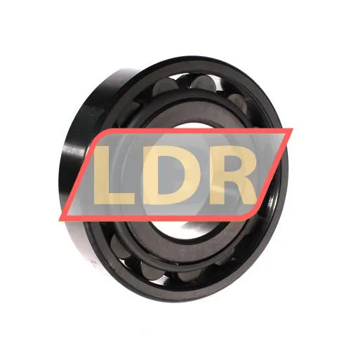 SKF N316