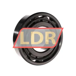 SKF N316 rulman resim 2