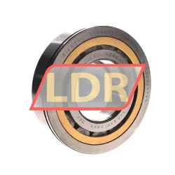 SKF NUP314ECNML/C3