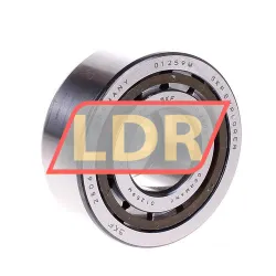 SKF NUP2306ECP
