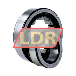 SKF NJ311ECP/C4VQ015 rulman resim 3