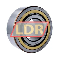 SKF NJ2316ECML/C3