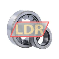 SKF NJ305ECJ rulman resim 4
