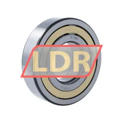 SKF NUP311ECM rulman resim 2