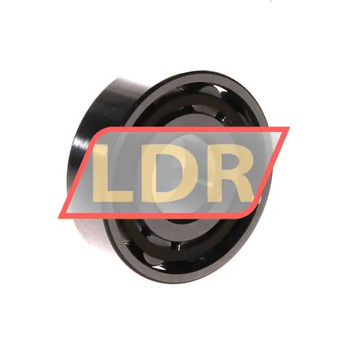 SKF N304ECP ürün fotoğrafı 2