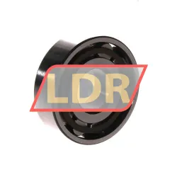 SKF N304ECP rulman resim 2