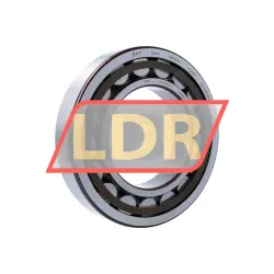 SKF NU224ECP/C3