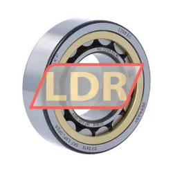 SKF NU2208ECML