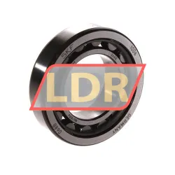 SKF NU1006
