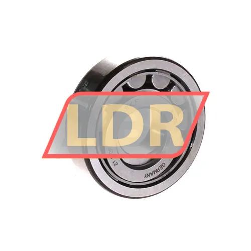 SKF NUP305ECJ ürün fotoğrafı 2