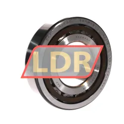 SKF NJ313ECP/C4VQ015