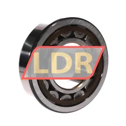 SKF NJ313ECP/C4VQ015 rulman resim 3