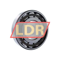 SKF N320ECP