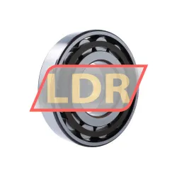SKF N320ECP rulman resim 2