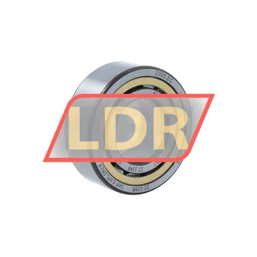 SKF NJ2205ECML/C4