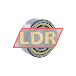 SKF NJ2205ECML/C4