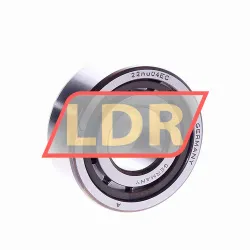 SKF NJ2204ECP/C3