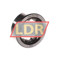 SKF RNU203TN9