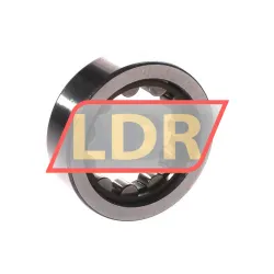 SKF RNU203TN9 rulman resim 2